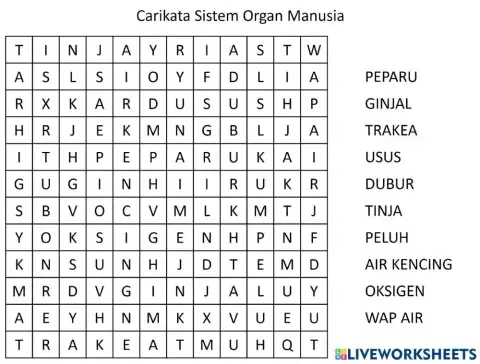Sains Tahun 4: Carikata Sistem Organ Manusia