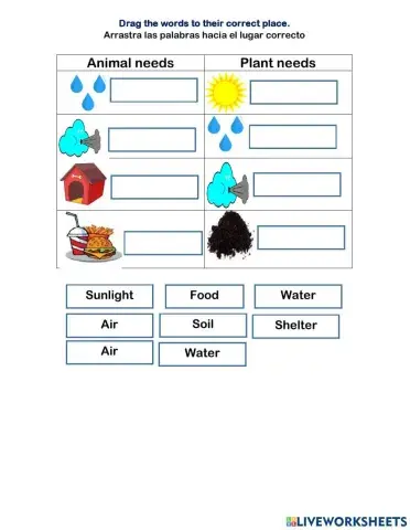 Plant and animal needs