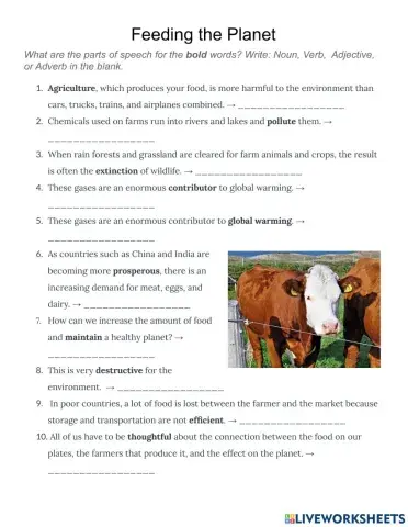 Feeding the Planet Vocabulary