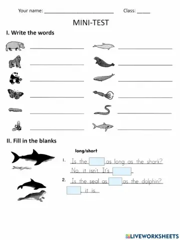 EU4-U2L1-2 Mini Test (Vocabulary)