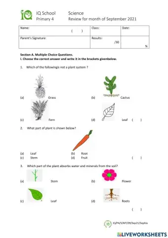 IQ-P4-S-MT-09-Sep21-Sophia