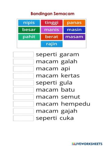 Bina Bandingan Semacam