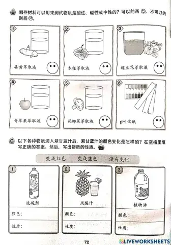 酸与碱：天然试纸