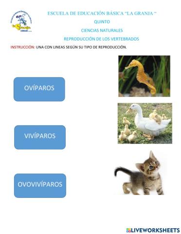 Reproducción de los vertebrados