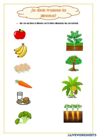 Plantas alimenticias