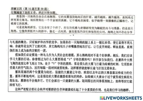 2019华语（16-20）