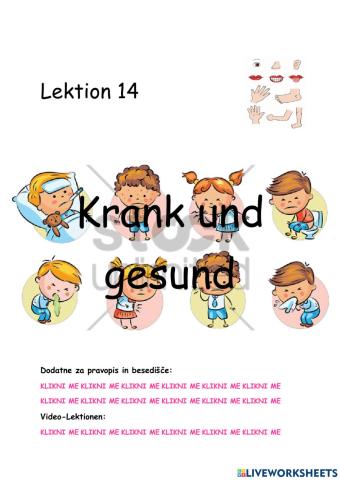 Krankheiten