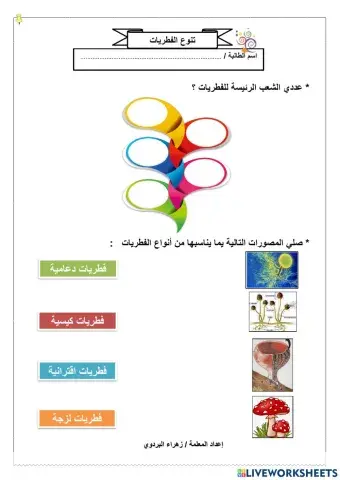 تنوع الفطريات 2