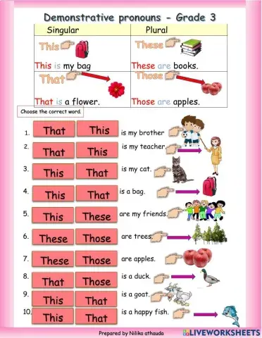 Demonstrative pronouns