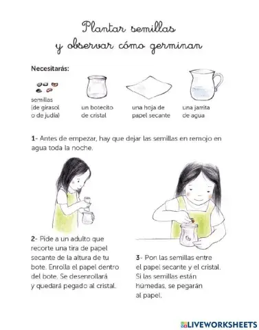 Emma y los girasoles