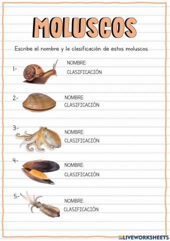 Moluscos