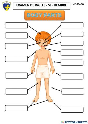4 evaluacion SEPTIEMBRE