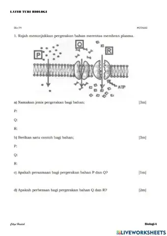 Kertas 2 BIOLOGI SPM