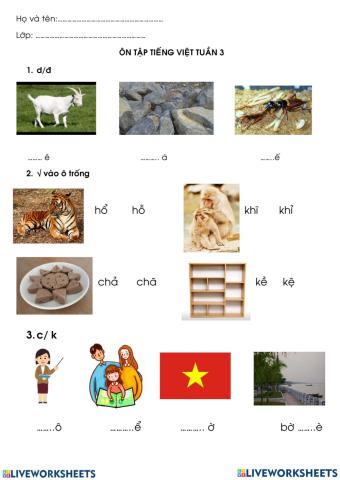 Tiếng Việt Tuần 3