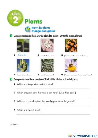 Plants Vocabulary