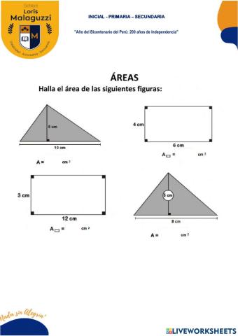 ÁREAS DE UNA SUPERFICIE
