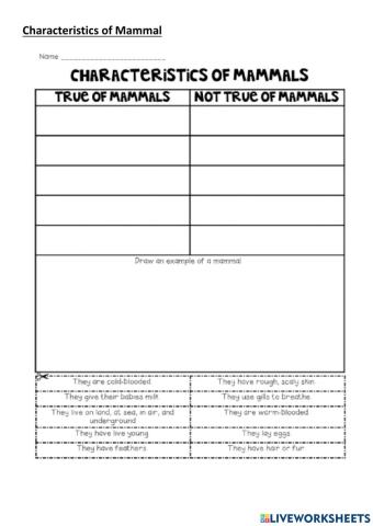 Characteristics of mammals worksheet