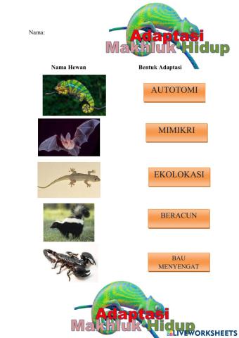 Adaptasi Mahluk Hidup