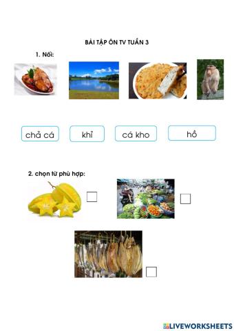 Ôn tập TV Tuần 3