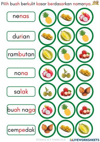 Buah-buahan Berkulit Kasar