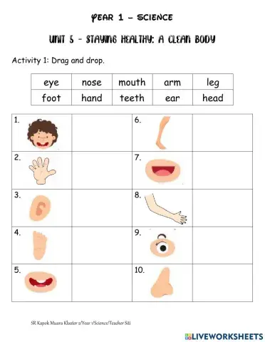 Unit 5 - Staying Healthy - A clean body