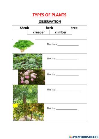 Types of plants