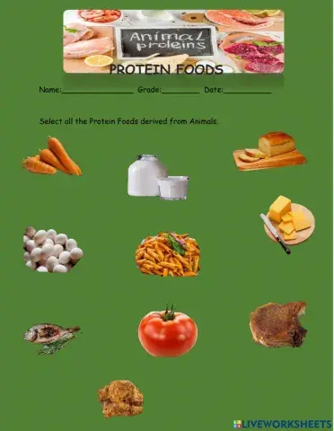 Animal Proteins