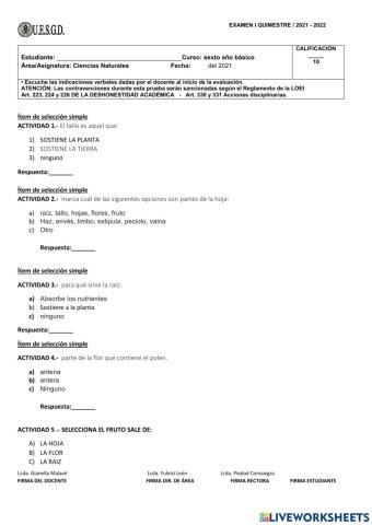 Examen primer quimestre