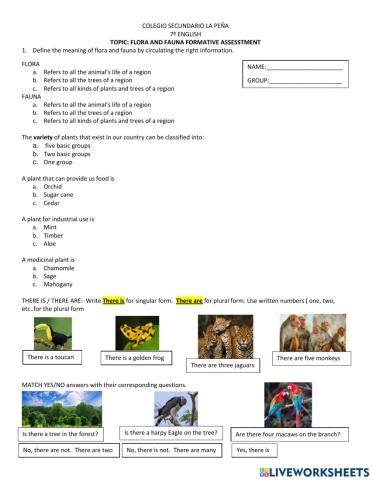 Flora and Fauna (there is and there are