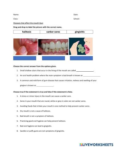 Diseases that affect the mouth