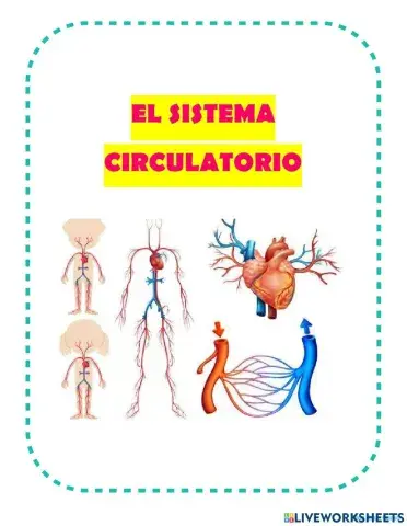 Sistema circulatorio