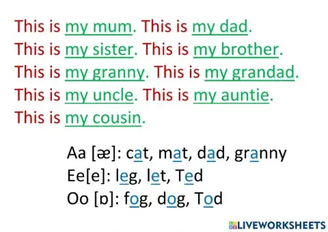 Magic Box 2, lesson 3