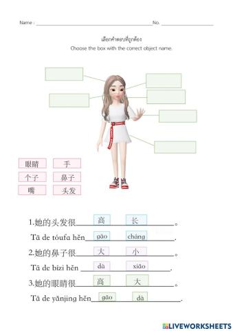 Y.7 แบบฝึกหัด
