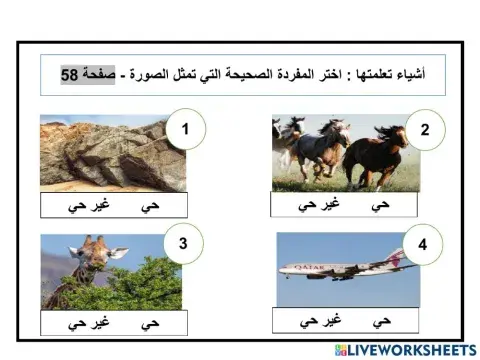 الحركة درس 1