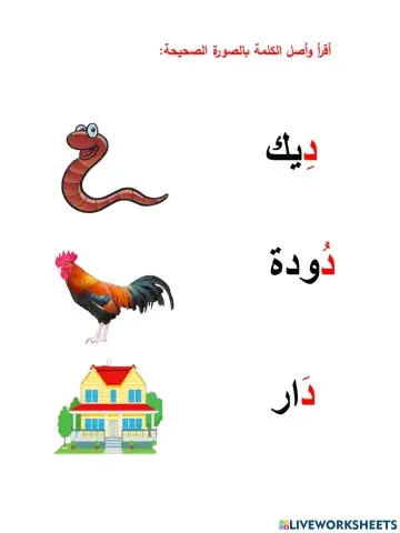 تدريبات