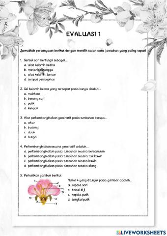 Evaluasi 1