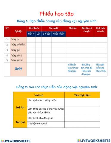 Động vật nguyên sinh