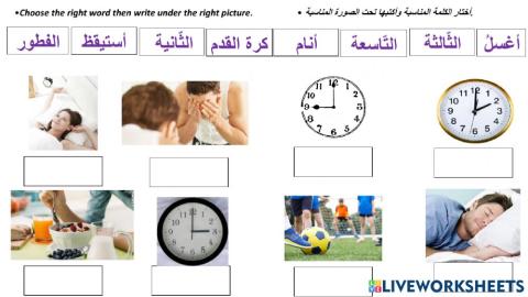 Daily routine nouns time verbs
