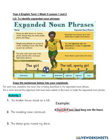 DIS English Term 1 Week 5 Lesson 1 and 2
