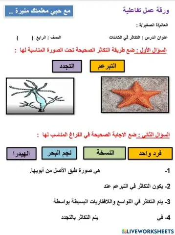 درس التكاثر اللاجنسي