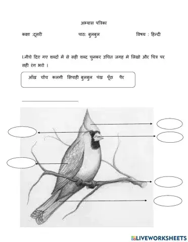 Class 2    Hindi
