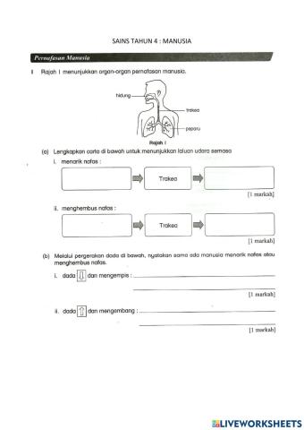 Sains Tahun 4 : Manusia