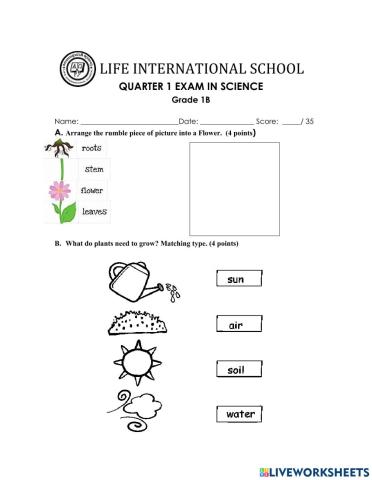 All about plants and animals