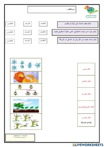 طرق التكاثر اللاجنسي