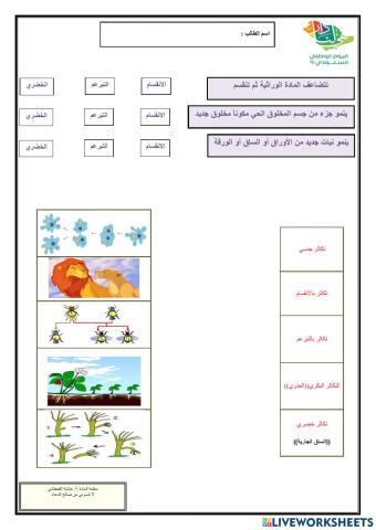 طرق التكاثر اللاجنسي