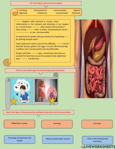 Diseases of the digestive system