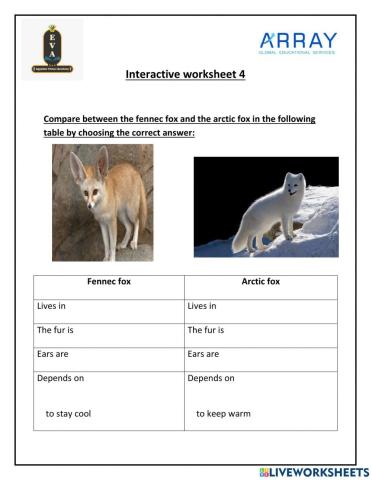 Comparison between arctic fox and fennec fox