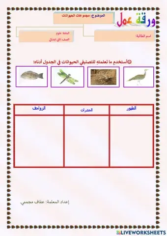 مجموعات الحيوانات