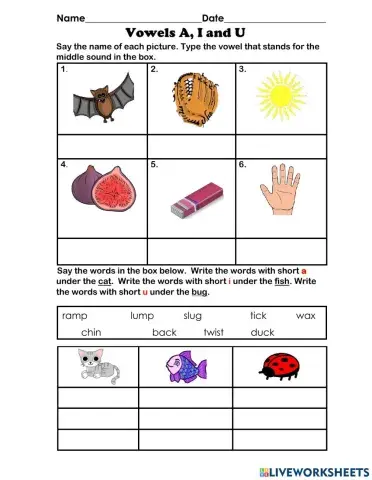 Short Vowel A I U Grade 3