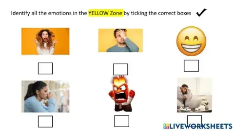 Zone of Regulation (Yellow and Red zones)